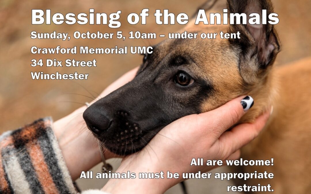 Blessing of the Animals, Oct. 5