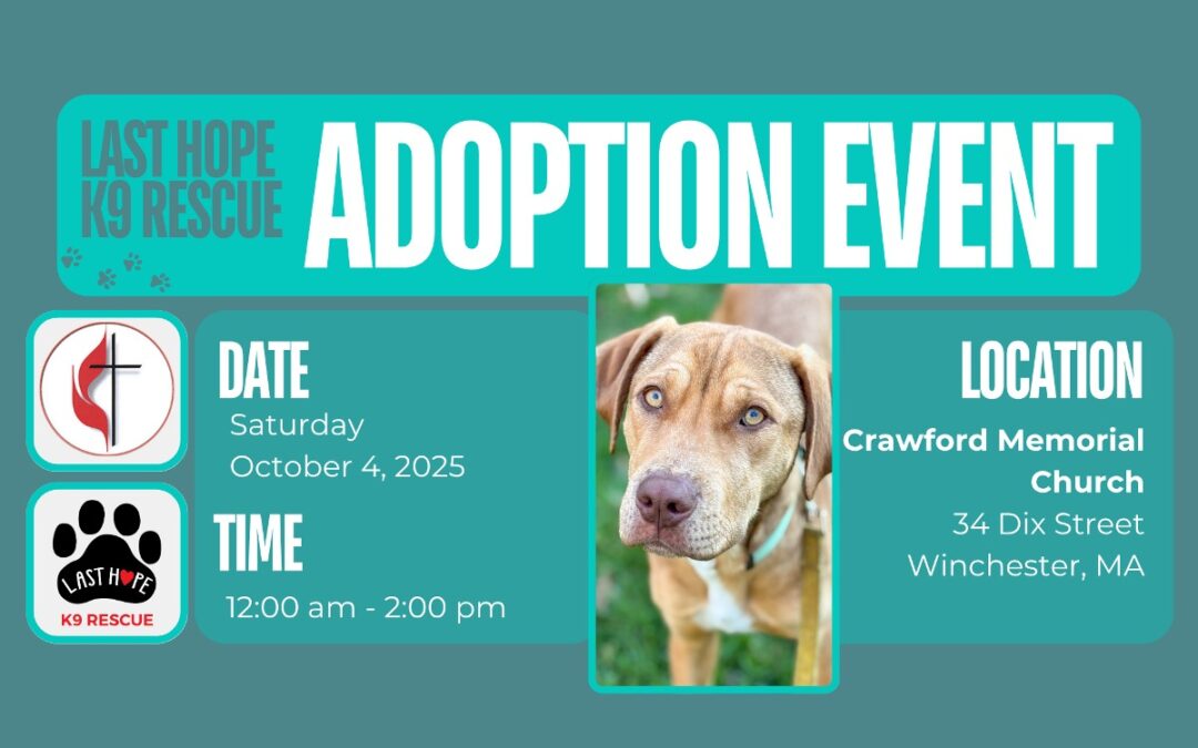 Last Hope K-9 Returns on Oct. 4