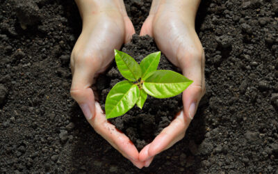 Every Day Is Earth Day