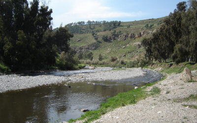 The Emptying River