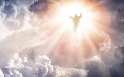 Weal or Woe: The Second Coming