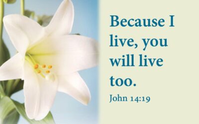 I Believe in the Resurrection